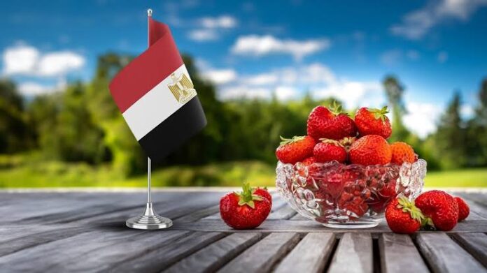 ما هي الدولة التي تصدر لها مصر معظم المواد الغذائية؟